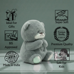 Claptales  Breathing Teddy Bear Soft Toy (25cm) | Grey Soothing Plush