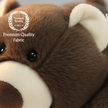 BIS approved non-toxic brown teddy bear for child safety.